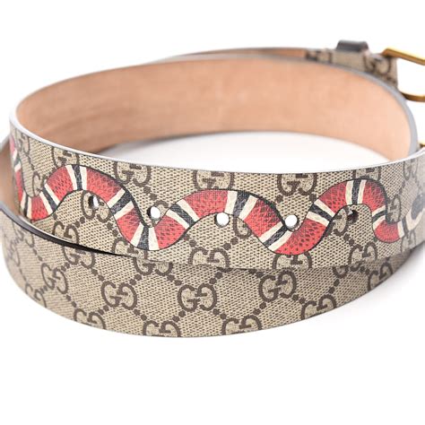 kingsnake gucci belt